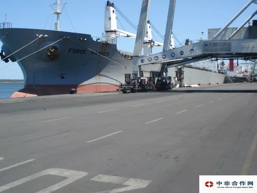 浓眉哥新星爆冷表现突出，美国队前途光明！